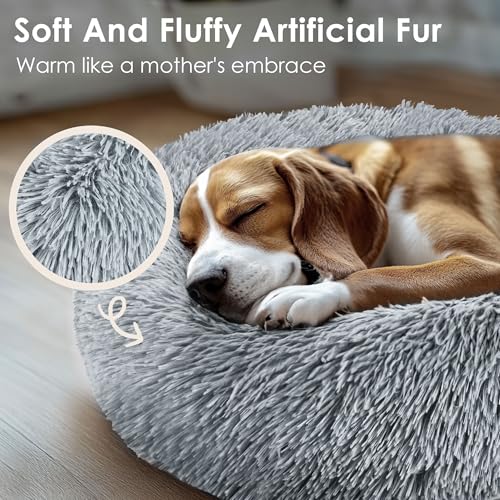 Dog & Cat Bed for Indoor 2