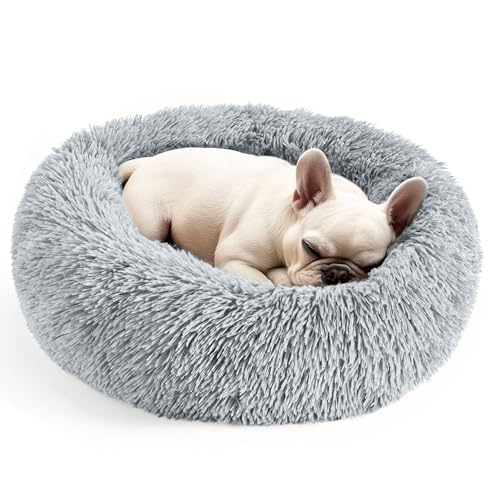 Dog & Cat Bed for Indoor 2