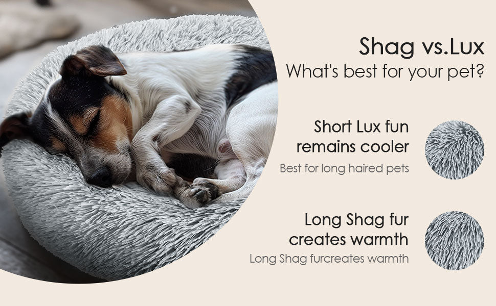 Dog & Cat Bed for Indoor 2