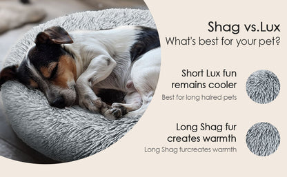 Dog & Cat Bed for Indoor 2